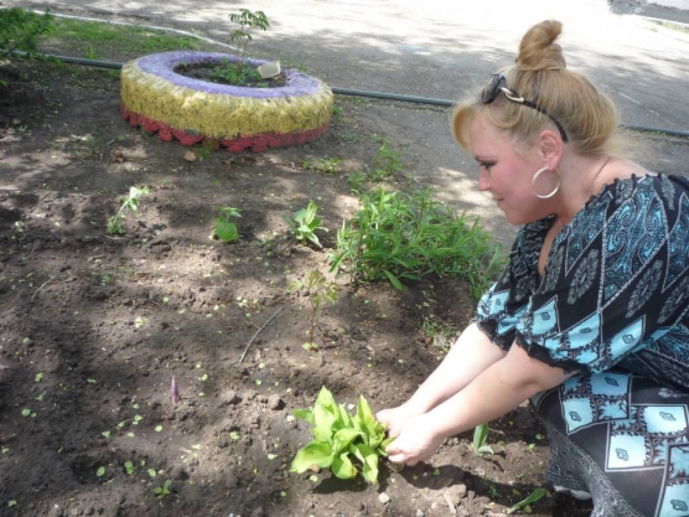 акция подари цветок детскому саду. Смотреть фото акция подари цветок детскому саду. Смотреть картинку акция подари цветок детскому саду. Картинка про акция подари цветок детскому саду. Фото акция подари цветок детскому саду акция подари цветок детскому саду. Смотреть фото акция подари цветок детскому саду. Смотреть картинку акция подари цветок детскому саду. Картинка про акция подари цветок детскому саду. Фото акция подари цветок детскому саду