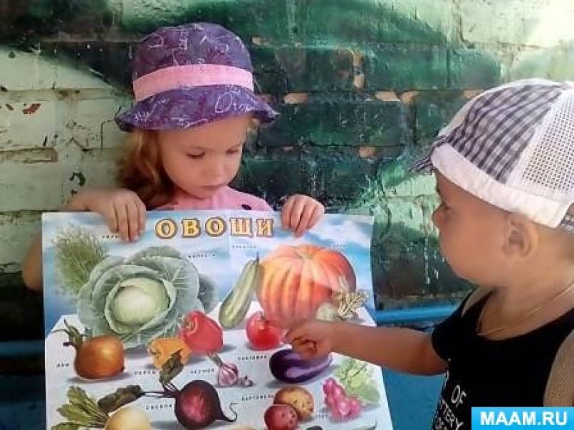 Беседа с детьми «Овощи и фрукты — полезные продукты!»
