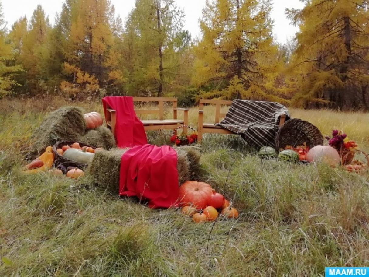 Фотоотчет «Лесное приключение» во второй младшая группа (7 фото ...