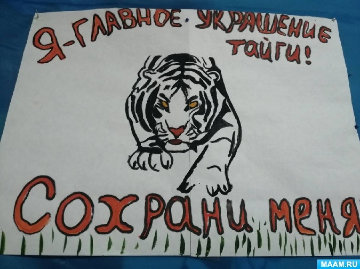 Плакат защита барса. Плакат в защиту тигра. День защиты Амурского тигра. Плакат в защиту Амурского тигра. Защита амурских тигров плакат.