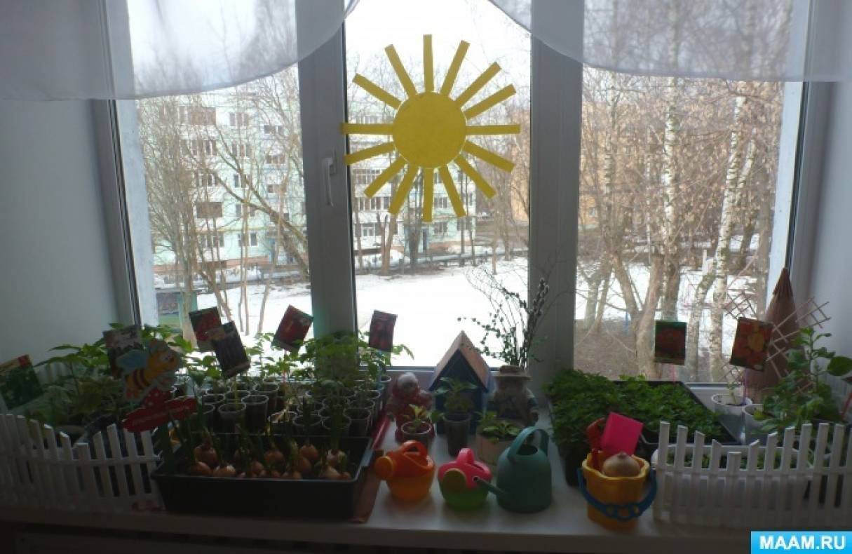 Огород на окне подготовительная группа. Огород на подоконнике в подготовительной группе оформление