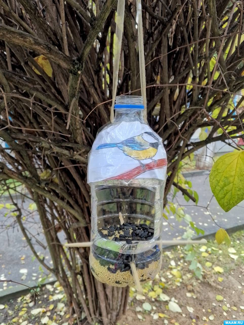 �������� ����������� ��������� ����� � ������� ������