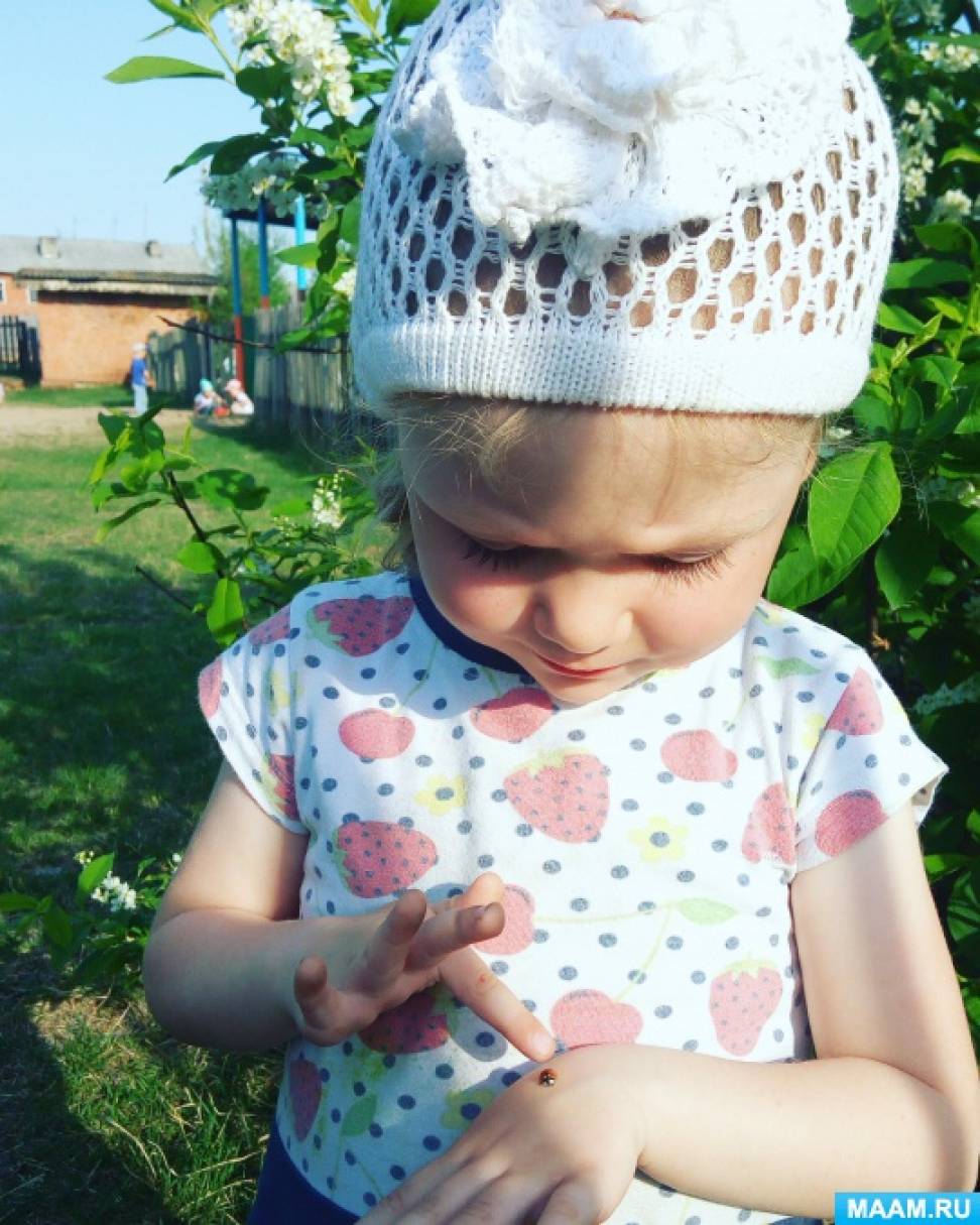 Занятие по наблюдению за живой природой Фото Занятие по наблюдению за живой природой