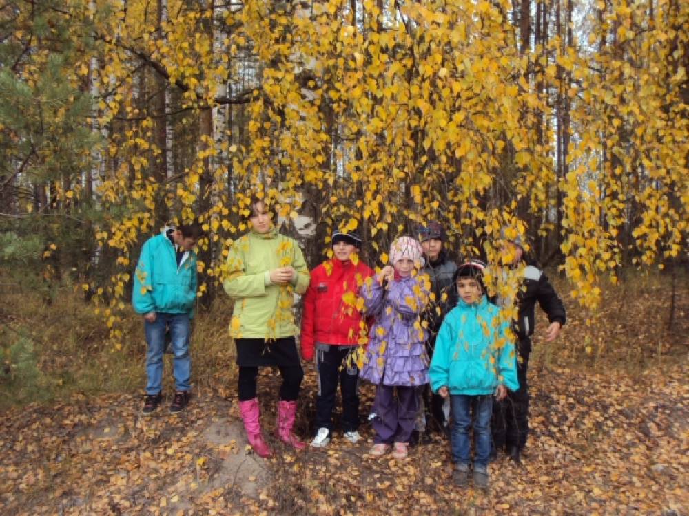 Прогулка в лес «Разноцветная осень» Фото Прогулка в лес «Разноцветная осень»