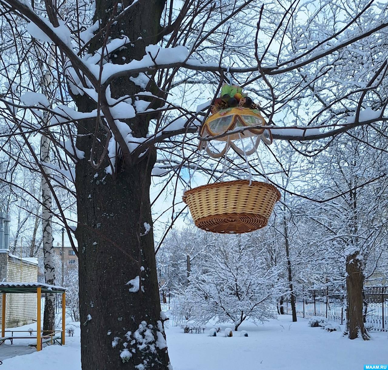 Смотреть фотографию №1 Фото №1 Ребята средней группы Гномики ГДОУ ЛНР Ясли сад Берёзка города Свердловска приняли участие во Всероссийской акции Покормите птиц зимой