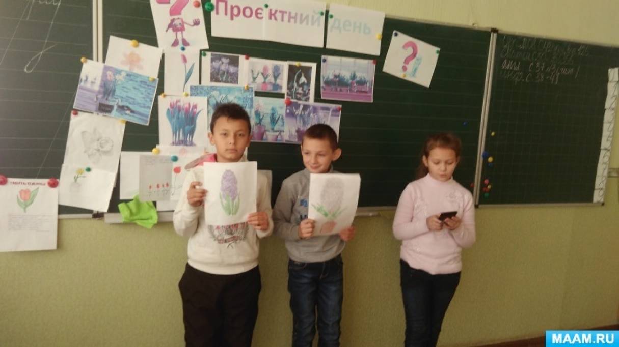 Экологический проект в начальной школе «Выгонка гиацинтов» Фото Экологический проект в начальной школе «Выгонка гиацинтов»