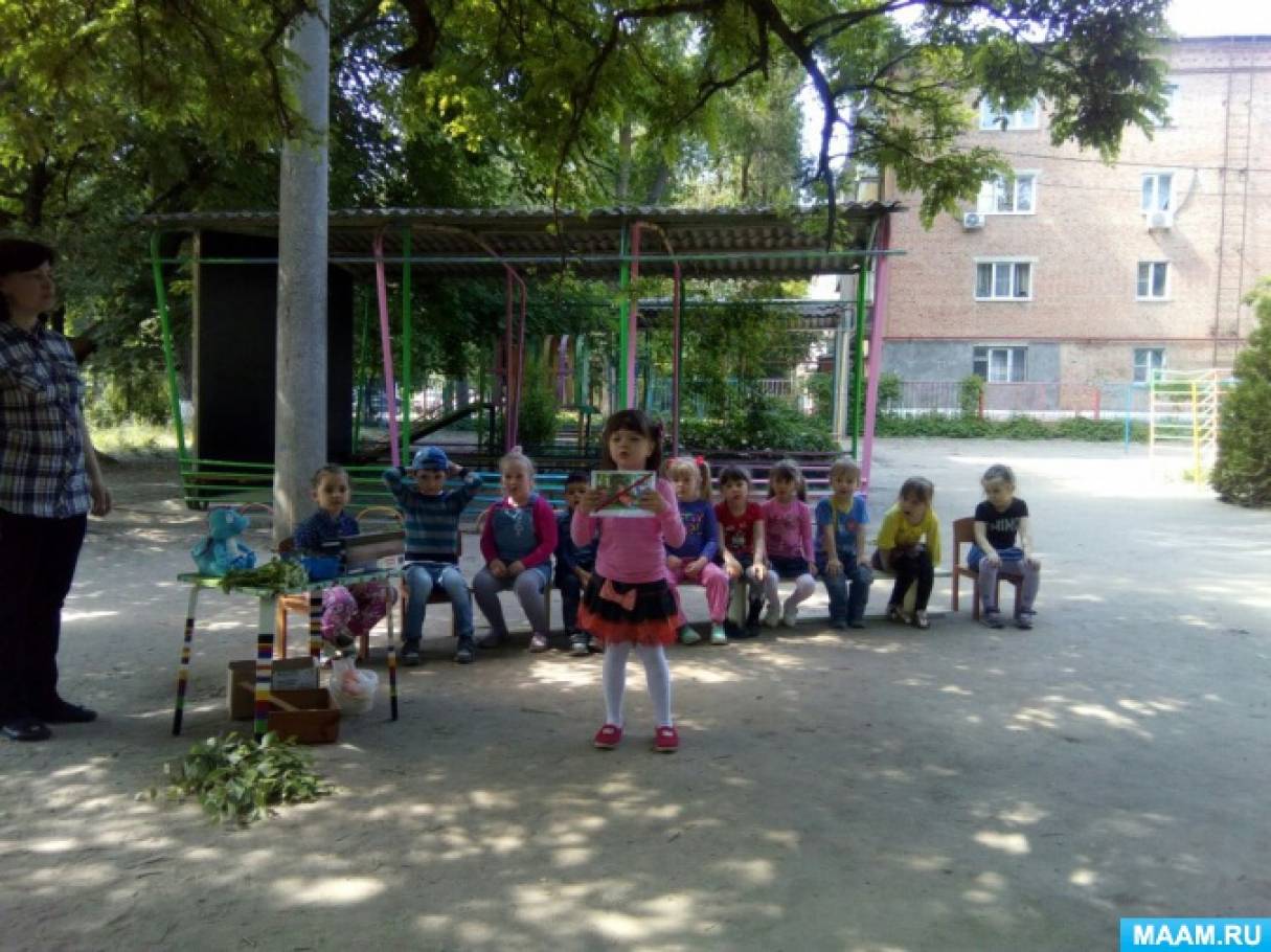 Интегрированное занятие экологической направленности «Друзья природы» (средняя группа) Фото Интегрированное занятие экологической направленности «Друзья природы» (средняя группа)