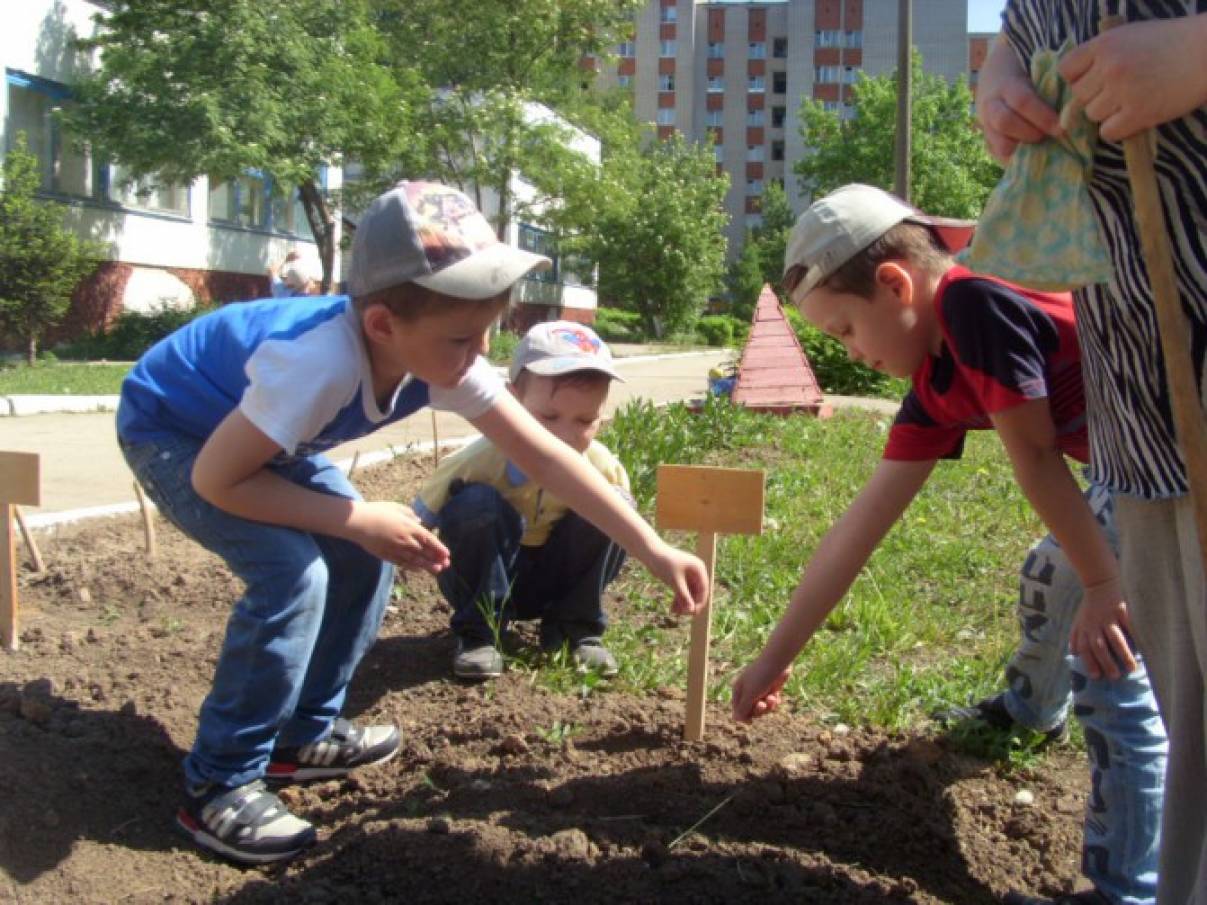 Конспект НОД в старшей группе «Делу время, потехе час» Фото Конспект НОД в старшей группе «Делу время, потехе час»