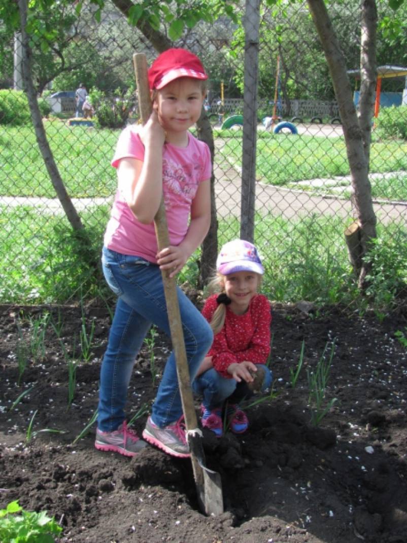 Смотреть фотографию №2 Фото №2 И хотелось бы осветить наши дела в весёлом позитивном стиле Мы сажаем понемножку угадайте что