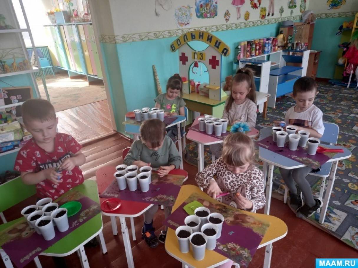 Фотоотчет (средняя группа) - фото