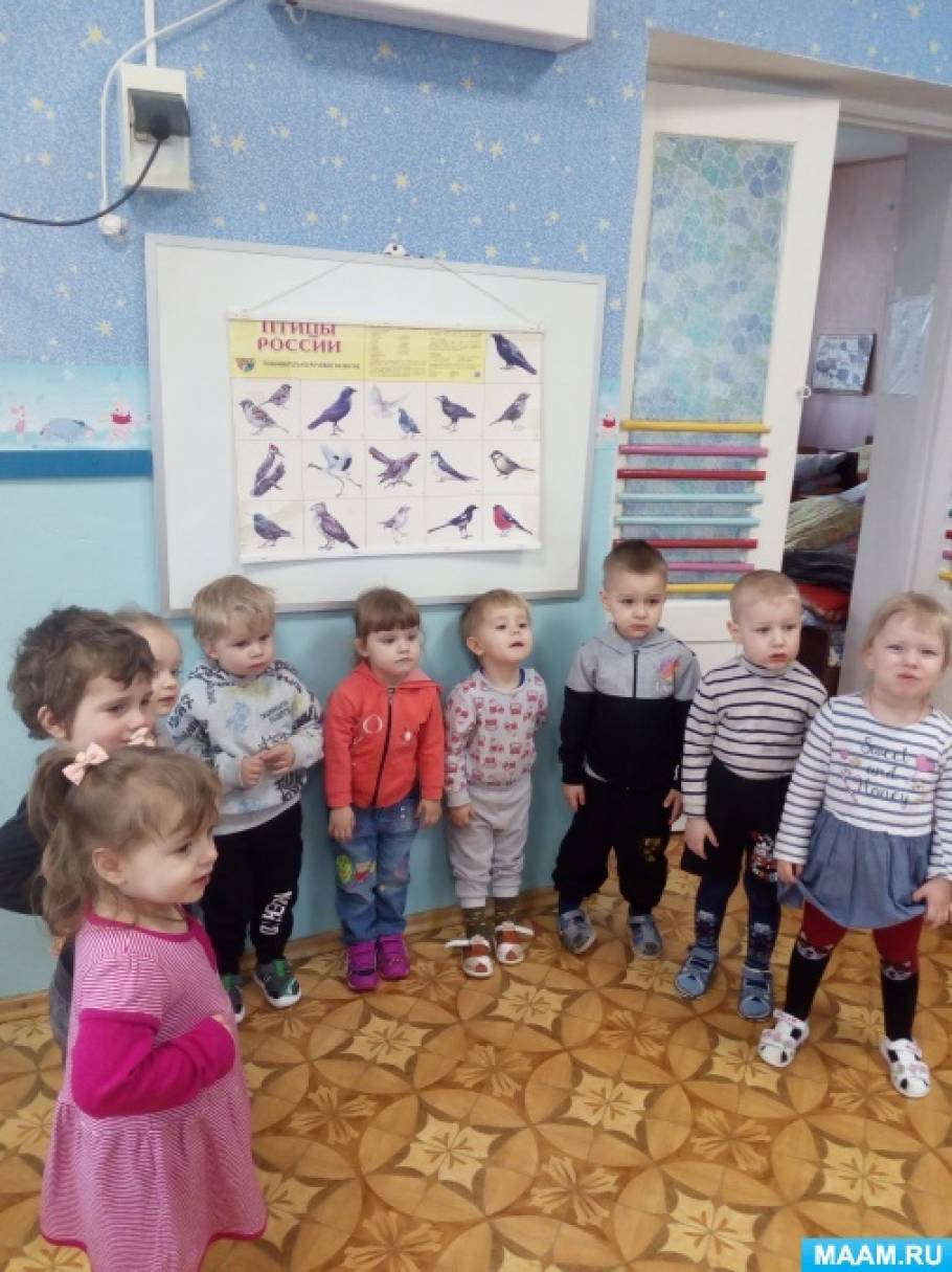 Конспект ООД по познавательному развитию «Птицы в гостях у ребят» в первой младшей группе