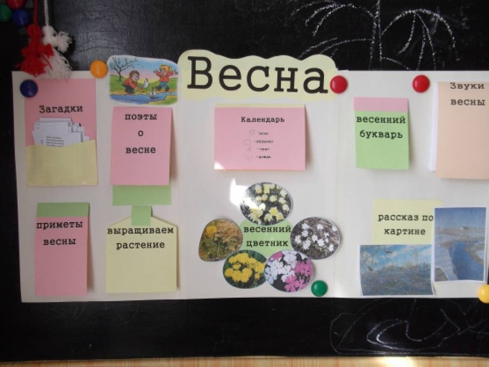 Лепбук «Весна» Фото Лепбук «Весна»