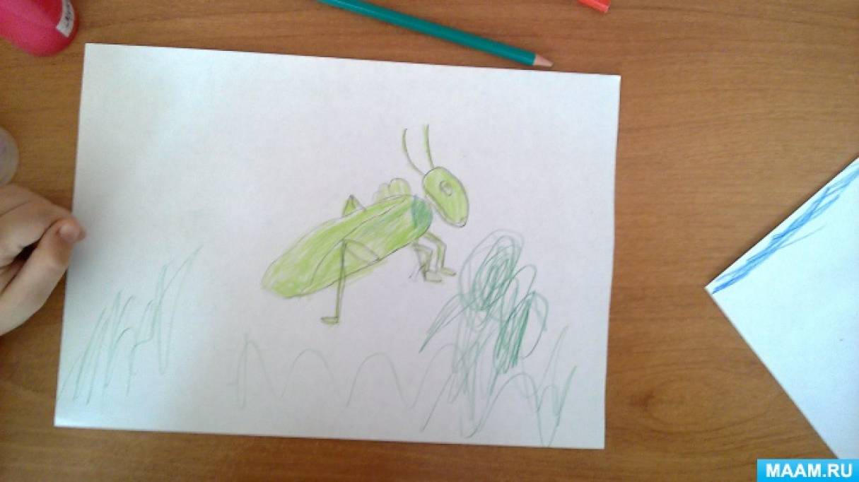 Планирование насекомые подготовительная. Рисование насекомые в подготовительной группе. Рисование в подготовительной группе насекомые карандашами. Как нарисовать кузнечика карандашом. Рисунок учитель Жук как нарисовать 1 класс.