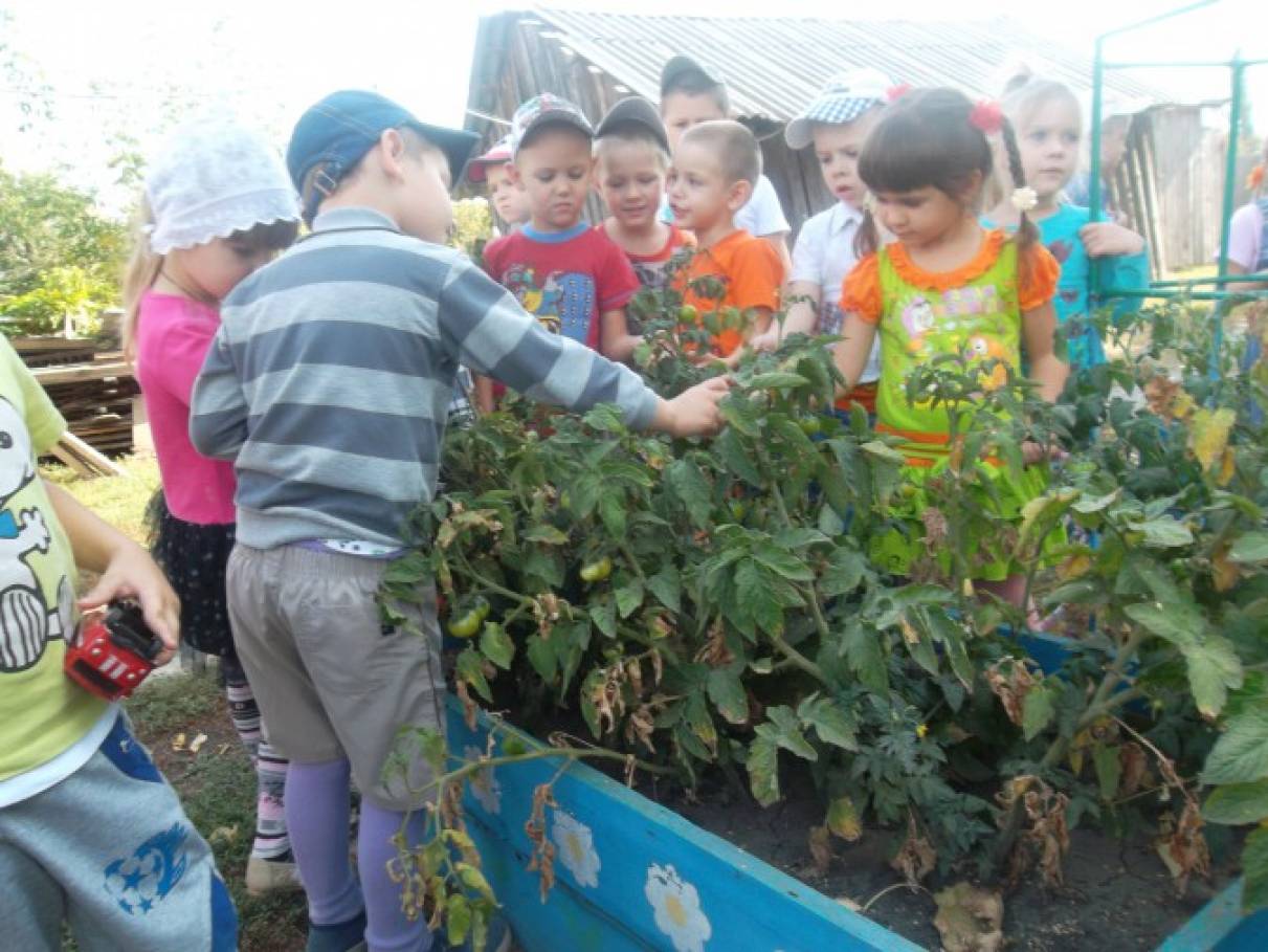 Фотоотчет с детьми что нам осень принесла. Смотреть фото Фотоотчет с детьми что нам осень принесла. Смотреть картинку Фотоотчет с детьми что нам осень принесла. Картинка про Фотоотчет с детьми что нам осень принесла. Фото Фотоотчет с детьми что нам осень принесла Фотоотчет с детьми что нам осень принесла. Смотреть фото Фотоотчет с детьми что нам осень принесла. Смотреть картинку Фотоотчет с детьми что нам осень принесла. Картинка про Фотоотчет с детьми что нам осень принесла. Фото Фотоотчет с детьми что нам осень принесла