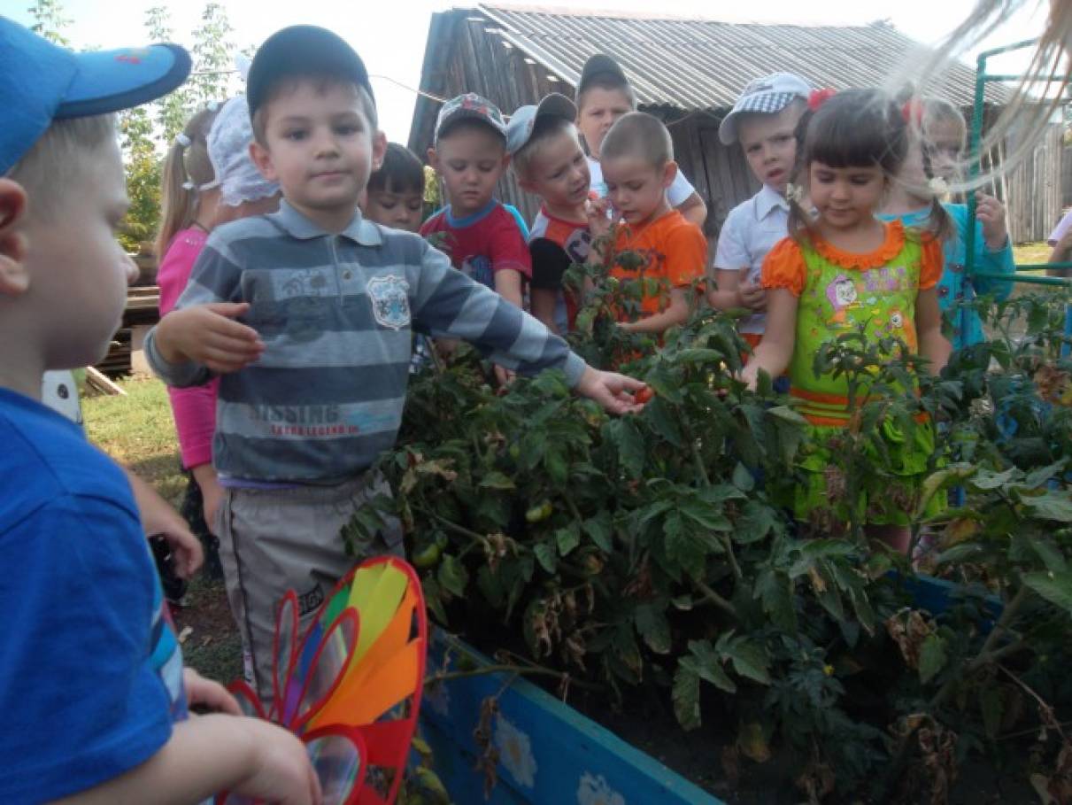 Фотоотчет с детьми что нам осень принесла. Смотреть фото Фотоотчет с детьми что нам осень принесла. Смотреть картинку Фотоотчет с детьми что нам осень принесла. Картинка про Фотоотчет с детьми что нам осень принесла. Фото Фотоотчет с детьми что нам осень принесла Фотоотчет с детьми что нам осень принесла. Смотреть фото Фотоотчет с детьми что нам осень принесла. Смотреть картинку Фотоотчет с детьми что нам осень принесла. Картинка про Фотоотчет с детьми что нам осень принесла. Фото Фотоотчет с детьми что нам осень принесла