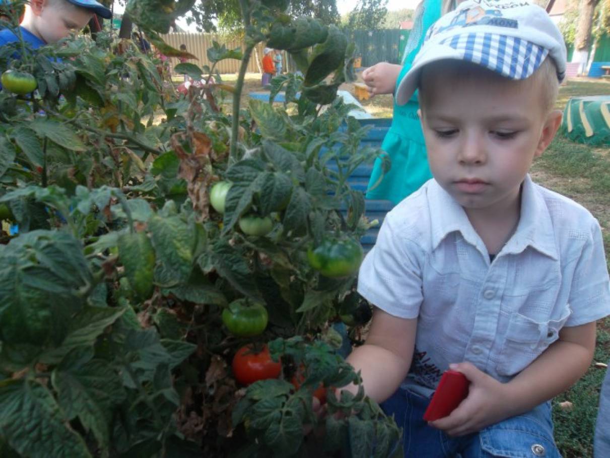 Фотоотчет с детьми что нам осень принесла. Смотреть фото Фотоотчет с детьми что нам осень принесла. Смотреть картинку Фотоотчет с детьми что нам осень принесла. Картинка про Фотоотчет с детьми что нам осень принесла. Фото Фотоотчет с детьми что нам осень принесла Фотоотчет с детьми что нам осень принесла. Смотреть фото Фотоотчет с детьми что нам осень принесла. Смотреть картинку Фотоотчет с детьми что нам осень принесла. Картинка про Фотоотчет с детьми что нам осень принесла. Фото Фотоотчет с детьми что нам осень принесла