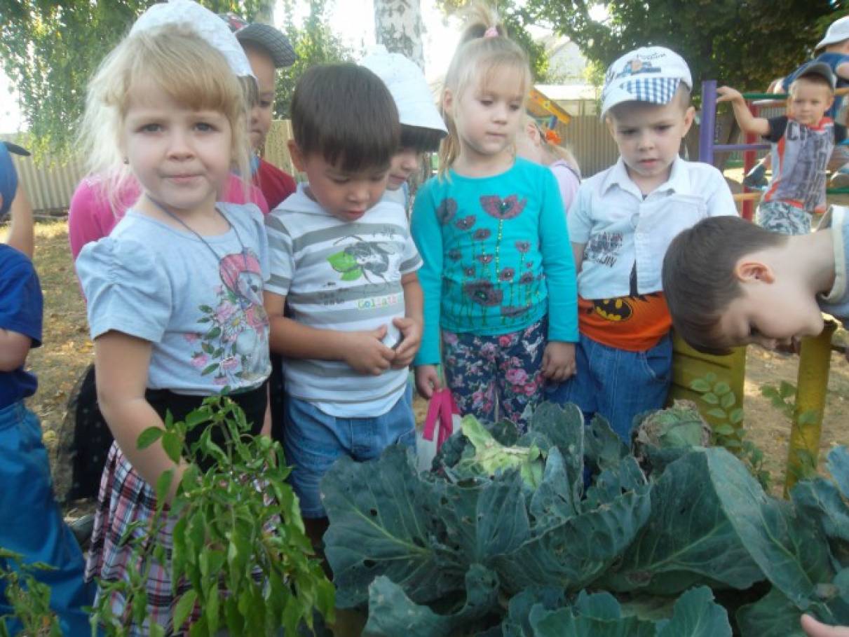 Фотоотчет с детьми что нам осень принесла. Смотреть фото Фотоотчет с детьми что нам осень принесла. Смотреть картинку Фотоотчет с детьми что нам осень принесла. Картинка про Фотоотчет с детьми что нам осень принесла. Фото Фотоотчет с детьми что нам осень принесла Фотоотчет с детьми что нам осень принесла. Смотреть фото Фотоотчет с детьми что нам осень принесла. Смотреть картинку Фотоотчет с детьми что нам осень принесла. Картинка про Фотоотчет с детьми что нам осень принесла. Фото Фотоотчет с детьми что нам осень принесла