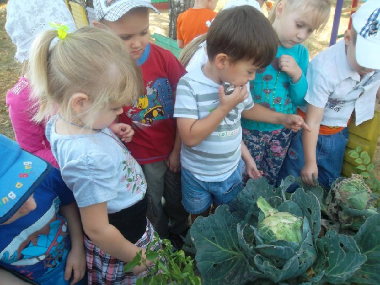 Фотоотчет с детьми что нам осень принесла. Смотреть фото Фотоотчет с детьми что нам осень принесла. Смотреть картинку Фотоотчет с детьми что нам осень принесла. Картинка про Фотоотчет с детьми что нам осень принесла. Фото Фотоотчет с детьми что нам осень принесла Фотоотчет с детьми что нам осень принесла. Смотреть фото Фотоотчет с детьми что нам осень принесла. Смотреть картинку Фотоотчет с детьми что нам осень принесла. Картинка про Фотоотчет с детьми что нам осень принесла. Фото Фотоотчет с детьми что нам осень принесла