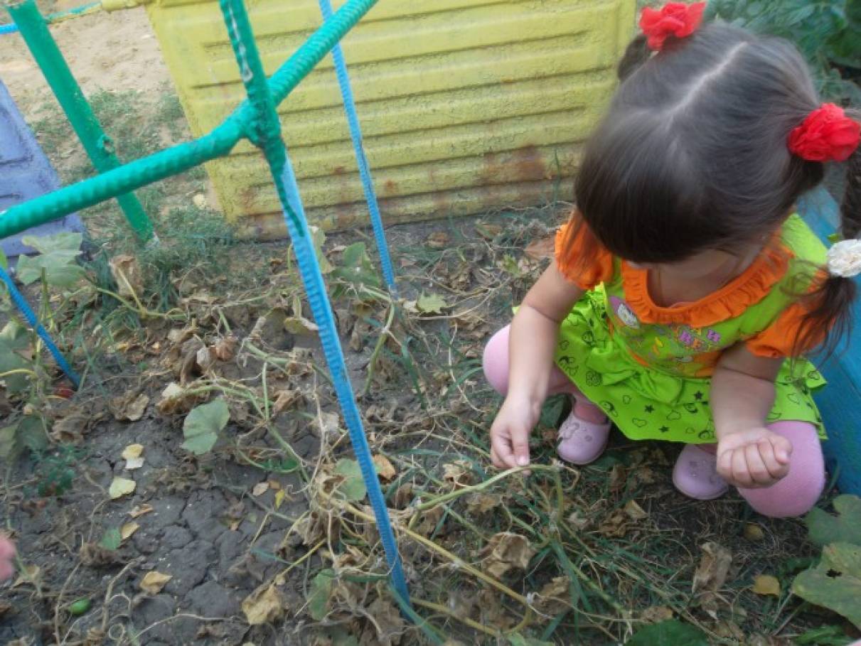 Фотоотчет с детьми что нам осень принесла. Смотреть фото Фотоотчет с детьми что нам осень принесла. Смотреть картинку Фотоотчет с детьми что нам осень принесла. Картинка про Фотоотчет с детьми что нам осень принесла. Фото Фотоотчет с детьми что нам осень принесла Фотоотчет с детьми что нам осень принесла. Смотреть фото Фотоотчет с детьми что нам осень принесла. Смотреть картинку Фотоотчет с детьми что нам осень принесла. Картинка про Фотоотчет с детьми что нам осень принесла. Фото Фотоотчет с детьми что нам осень принесла