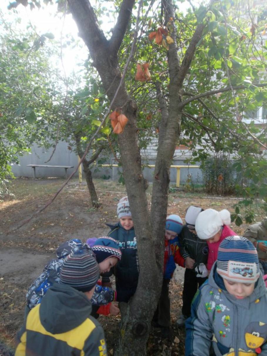 Фотоотчет с детьми что нам осень принесла. Смотреть фото Фотоотчет с детьми что нам осень принесла. Смотреть картинку Фотоотчет с детьми что нам осень принесла. Картинка про Фотоотчет с детьми что нам осень принесла. Фото Фотоотчет с детьми что нам осень принесла Фотоотчет с детьми что нам осень принесла. Смотреть фото Фотоотчет с детьми что нам осень принесла. Смотреть картинку Фотоотчет с детьми что нам осень принесла. Картинка про Фотоотчет с детьми что нам осень принесла. Фото Фотоотчет с детьми что нам осень принесла