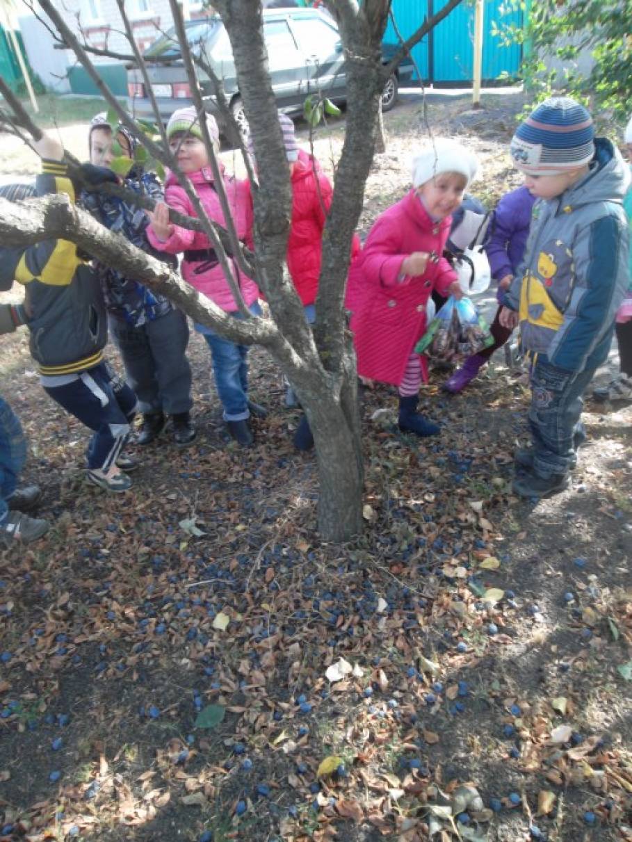 Фотоотчет с детьми что нам осень принесла. Смотреть фото Фотоотчет с детьми что нам осень принесла. Смотреть картинку Фотоотчет с детьми что нам осень принесла. Картинка про Фотоотчет с детьми что нам осень принесла. Фото Фотоотчет с детьми что нам осень принесла Фотоотчет с детьми что нам осень принесла. Смотреть фото Фотоотчет с детьми что нам осень принесла. Смотреть картинку Фотоотчет с детьми что нам осень принесла. Картинка про Фотоотчет с детьми что нам осень принесла. Фото Фотоотчет с детьми что нам осень принесла