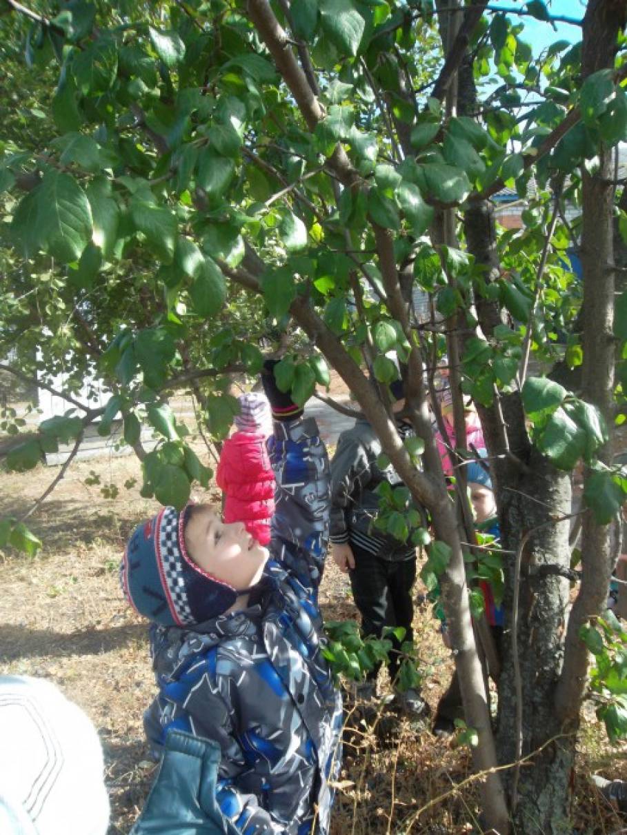 Фотоотчет с детьми что нам осень принесла. Смотреть фото Фотоотчет с детьми что нам осень принесла. Смотреть картинку Фотоотчет с детьми что нам осень принесла. Картинка про Фотоотчет с детьми что нам осень принесла. Фото Фотоотчет с детьми что нам осень принесла Фотоотчет с детьми что нам осень принесла. Смотреть фото Фотоотчет с детьми что нам осень принесла. Смотреть картинку Фотоотчет с детьми что нам осень принесла. Картинка про Фотоотчет с детьми что нам осень принесла. Фото Фотоотчет с детьми что нам осень принесла