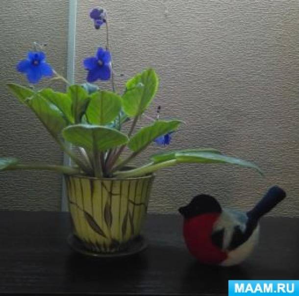 оформление стен в изостудии. Смотреть фото оформление стен в изостудии. Смотреть картинку оформление стен в изостудии. Картинка про оформление стен в изостудии. Фото оформление стен в изостудии