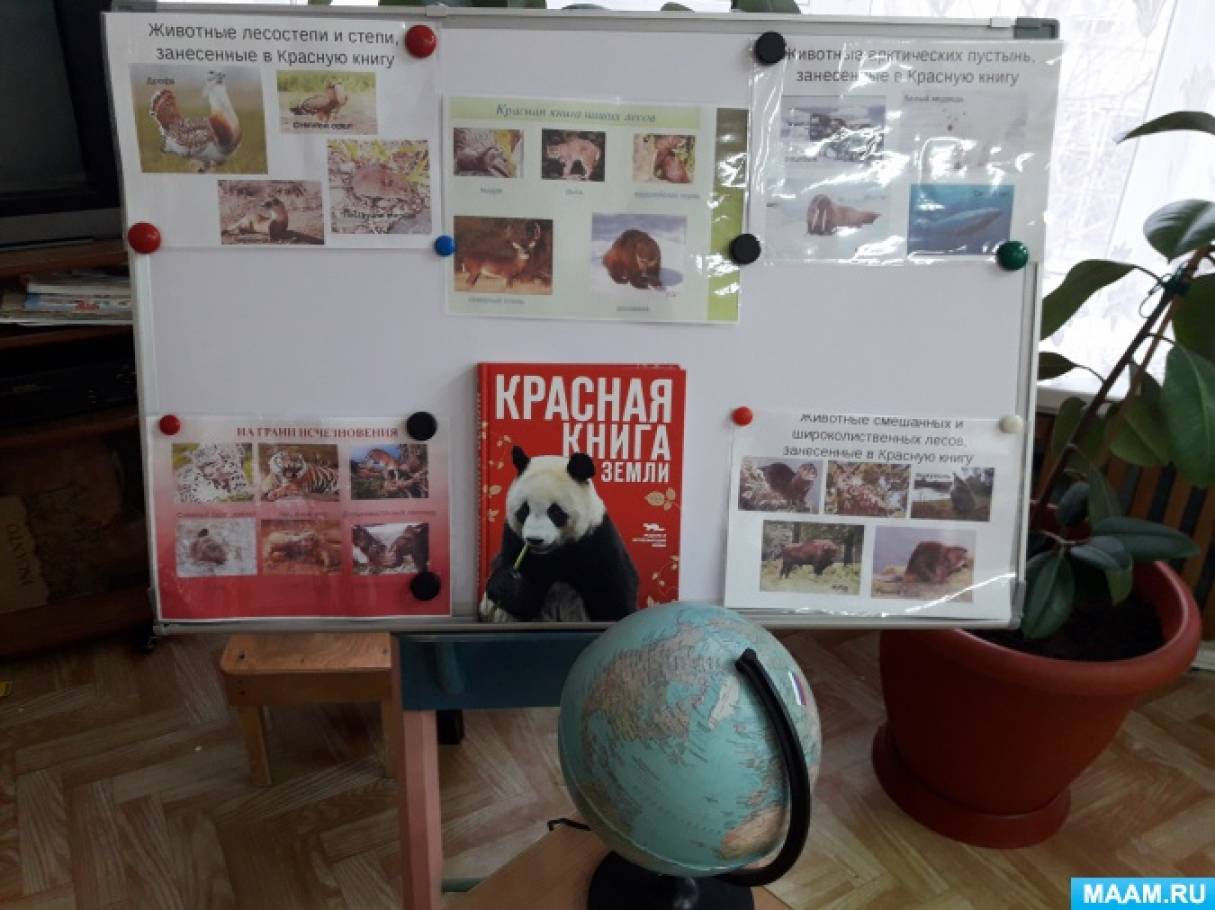 Красная книга проект старшая группа