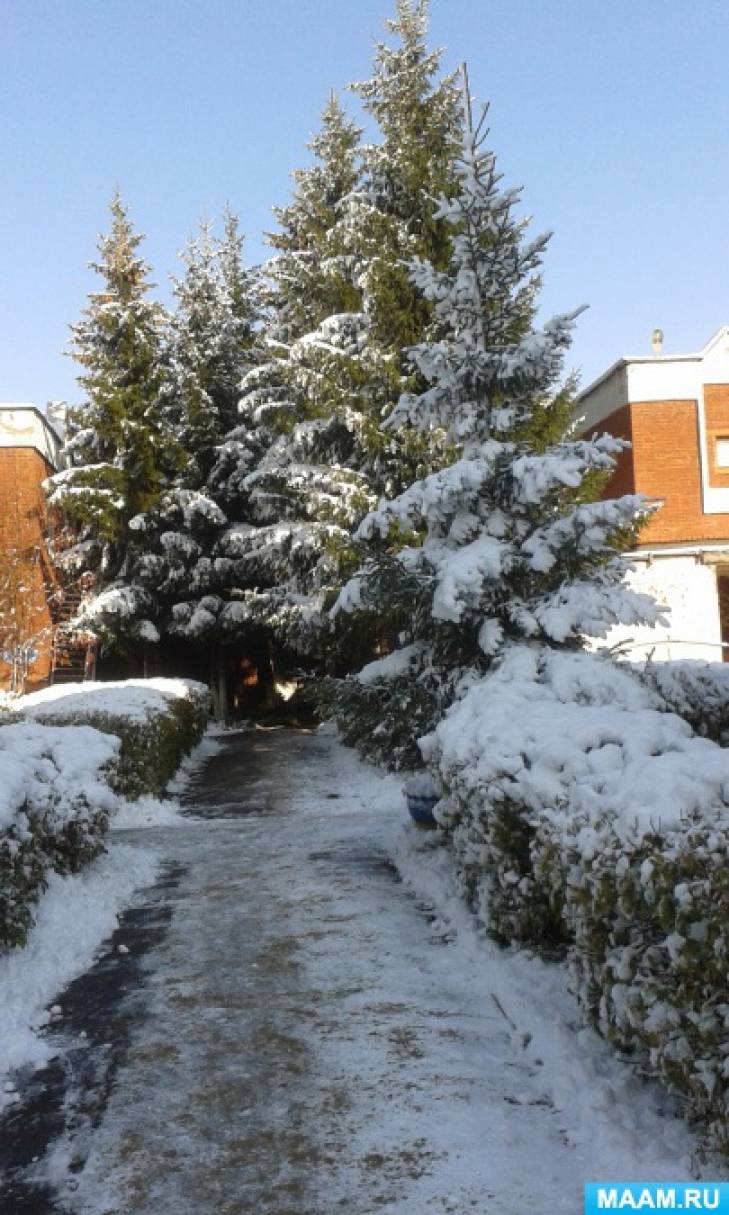 Смотреть фотографию №2 Фото №2 Октябрь середина осени а снег в это время для наших мест очень ранний