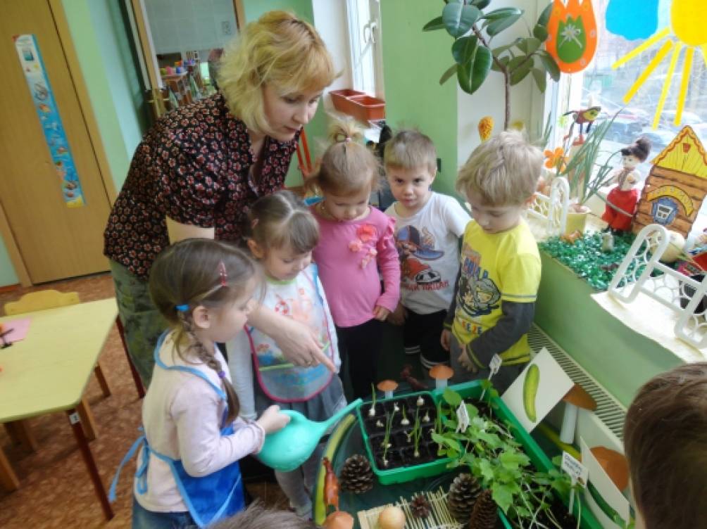 Развитие познавательно-творческих способностей детей дошкольного возраста. Исследовательский проект «Веселый огород» Фото Развитие познавательно-творческих способностей детей дошкольного возраста. Исследовательский проект «Веселый огород»