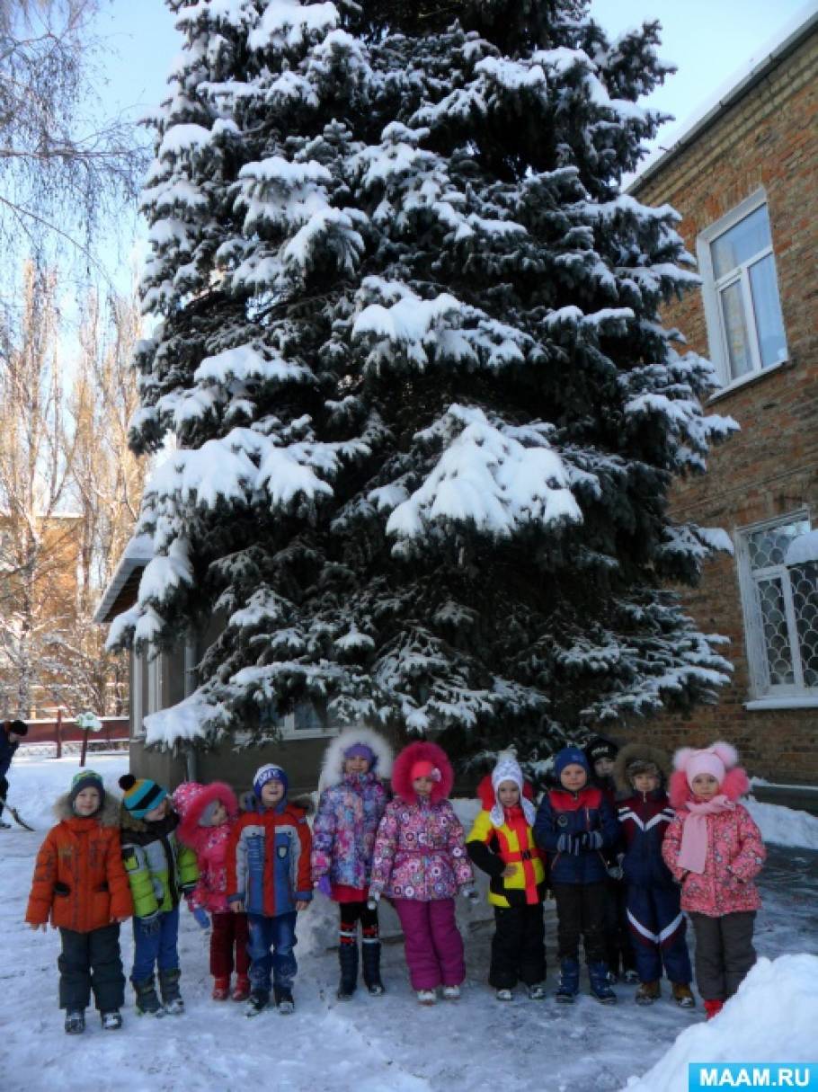 Смотреть фотографию №2 Фото №2 Задачи Развивать познавательно исследовательскую и продуктивную деятельность игровую деятельность
