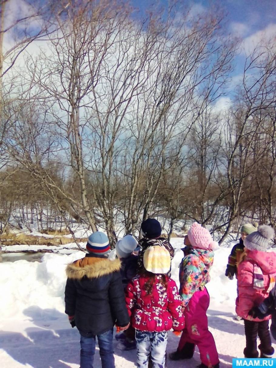 Знакомство С Природой В Детском Саду