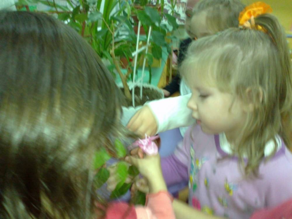 Наш уголок природы. Проект Фото Наш уголок природы. Проект