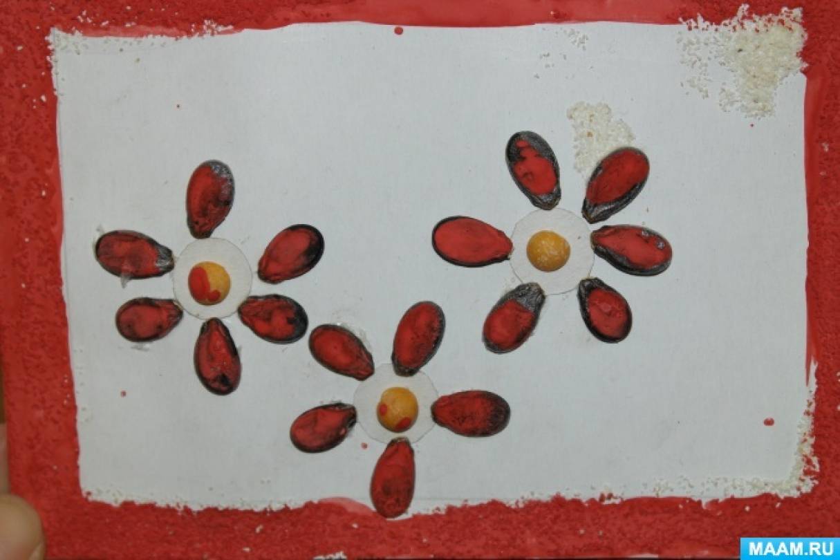 Конспект занятия по аппликации с использованием круп и арбузных семечек «Летние цветы»