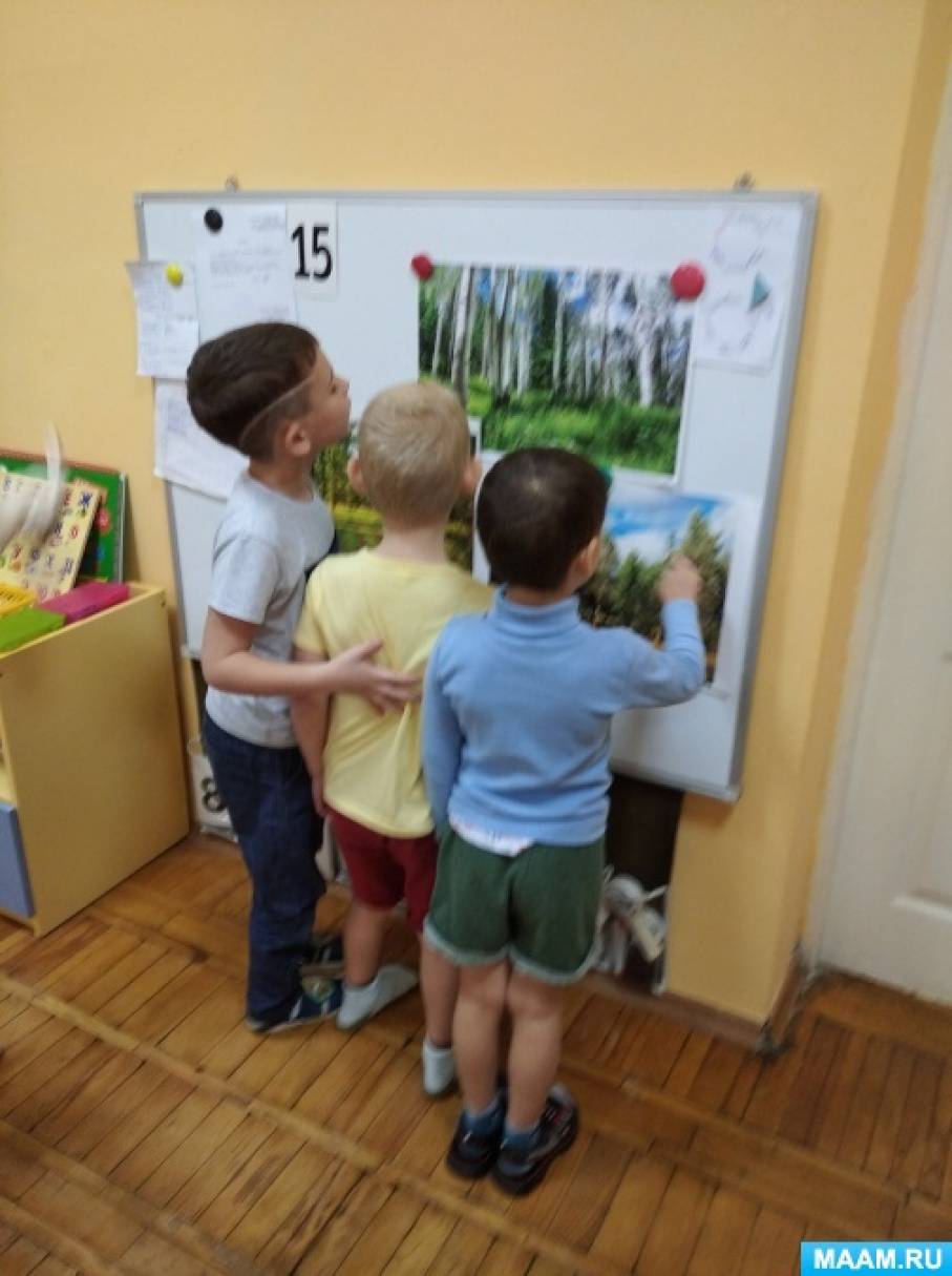 Конспект занятия «Знакомимся с лесом» в старшей логопедической группе Фото Конспект занятия «Знакомимся с лесом» в старшей логопедической группе