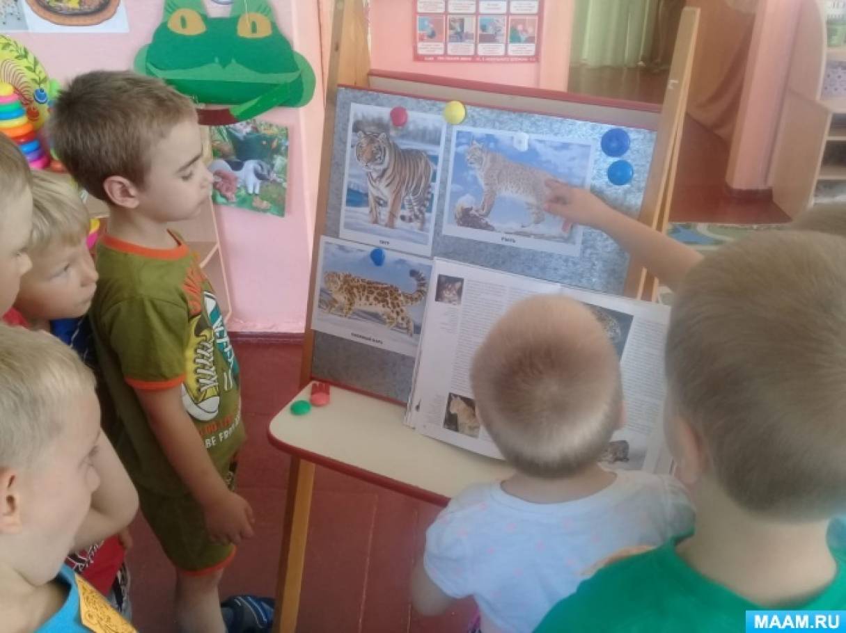 29 июля день тигра в младшей группе. Смотреть фото 29 июля день тигра в младшей группе. Смотреть картинку 29 июля день тигра в младшей группе. Картинка про 29 июля день тигра в младшей группе. Фото 29 июля день тигра в младшей группе