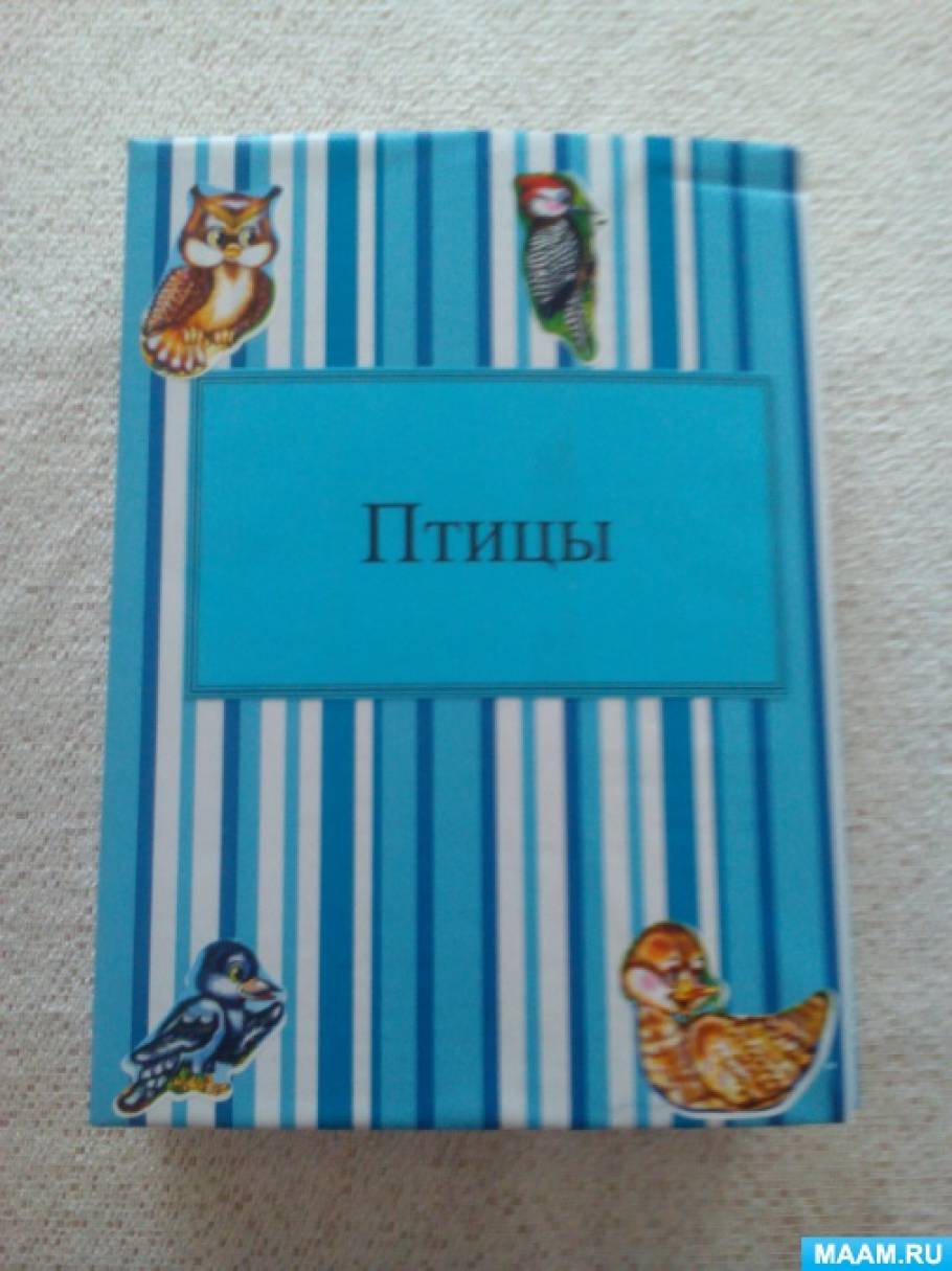 Лэпбук «Птицы»