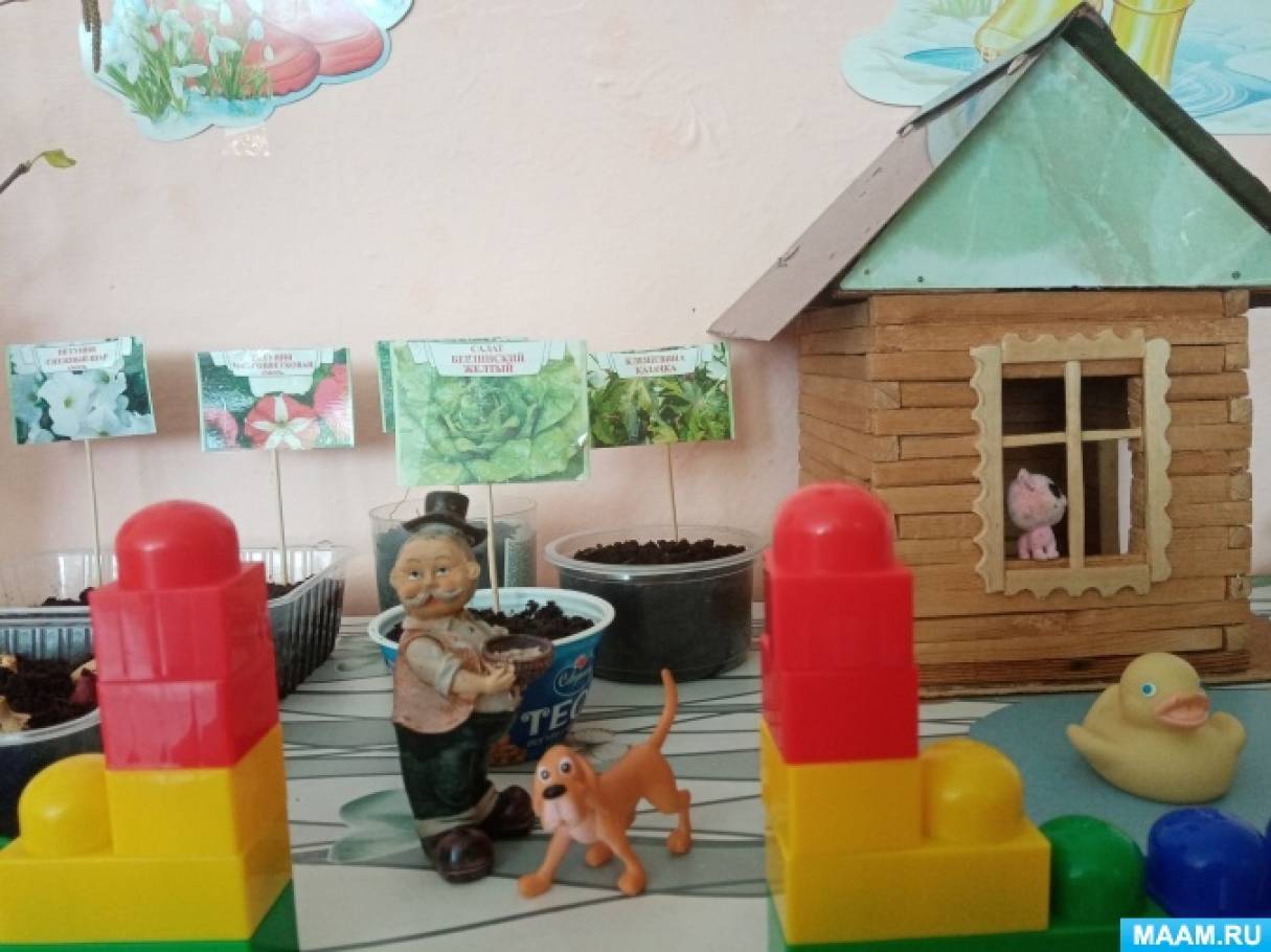 Фотоотчет в группе - фото