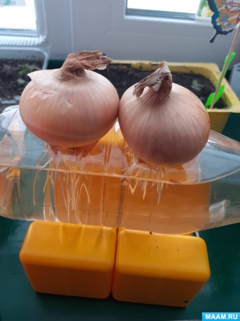 Foto č. 1 Zima končí