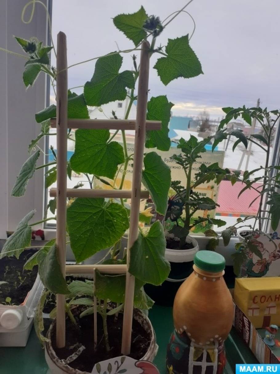 Foto č. 2 Slunce je každým dnem výš a výš a den se prodlužuje a otepluje