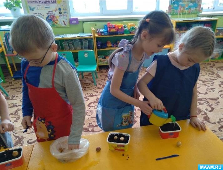 «Во саду ли, в огороде». Огород на подоконнике в детском саду