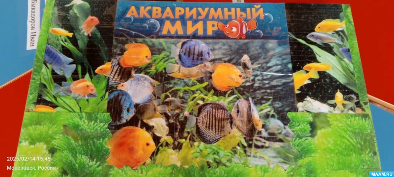 ������������� ���� ������������ ���