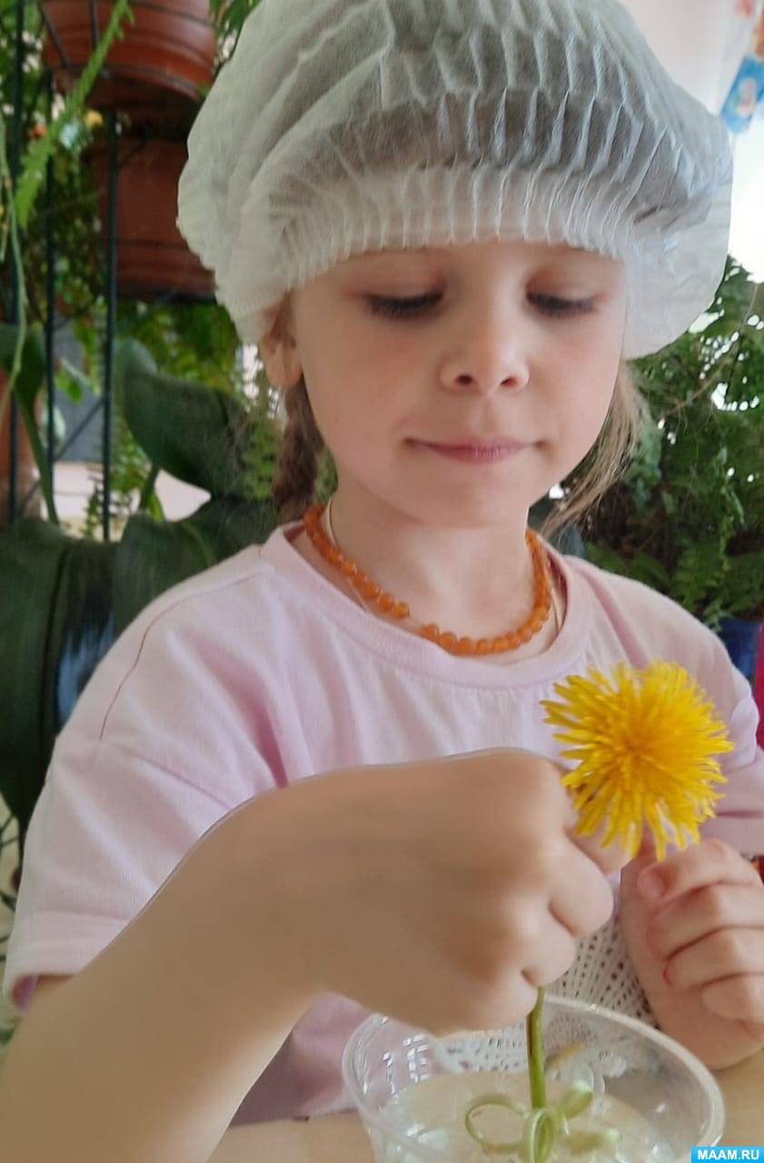 Смотреть фотографию №6 Фото №6 Все про одуванчики для детей Фотоотчеты Темочки