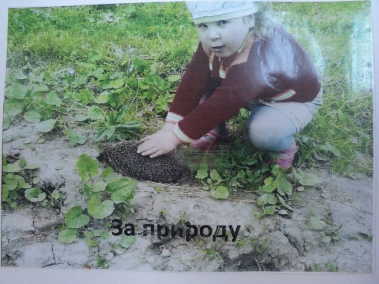 Как сделать стенгазету мой город