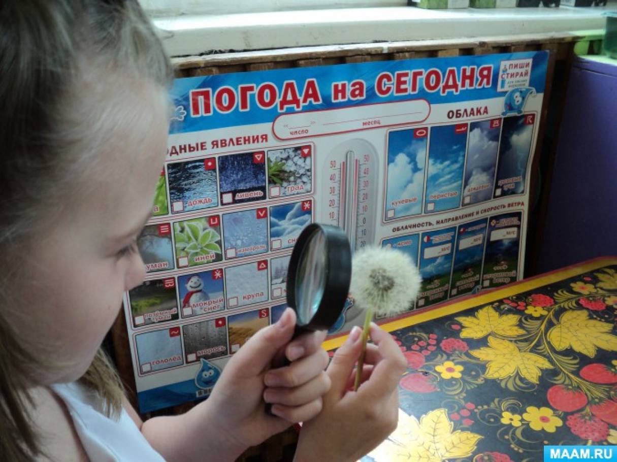 Смотреть фотографию №1 Фото №1 Цели Создание условий для познавательно творческой активности детей
