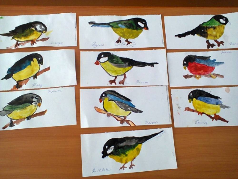 Красивая птичка рисование в средней группе. Рисование птицы в средней группе. Рисование птички в средней группе. Рисование птиц в средней группе детского сада.
