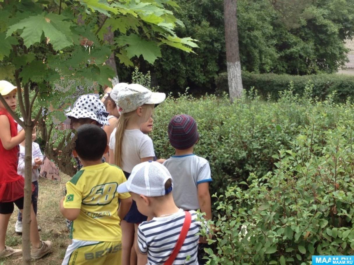 �������� �������� ����������� �� ��������� ��� ����� ����������� ��������