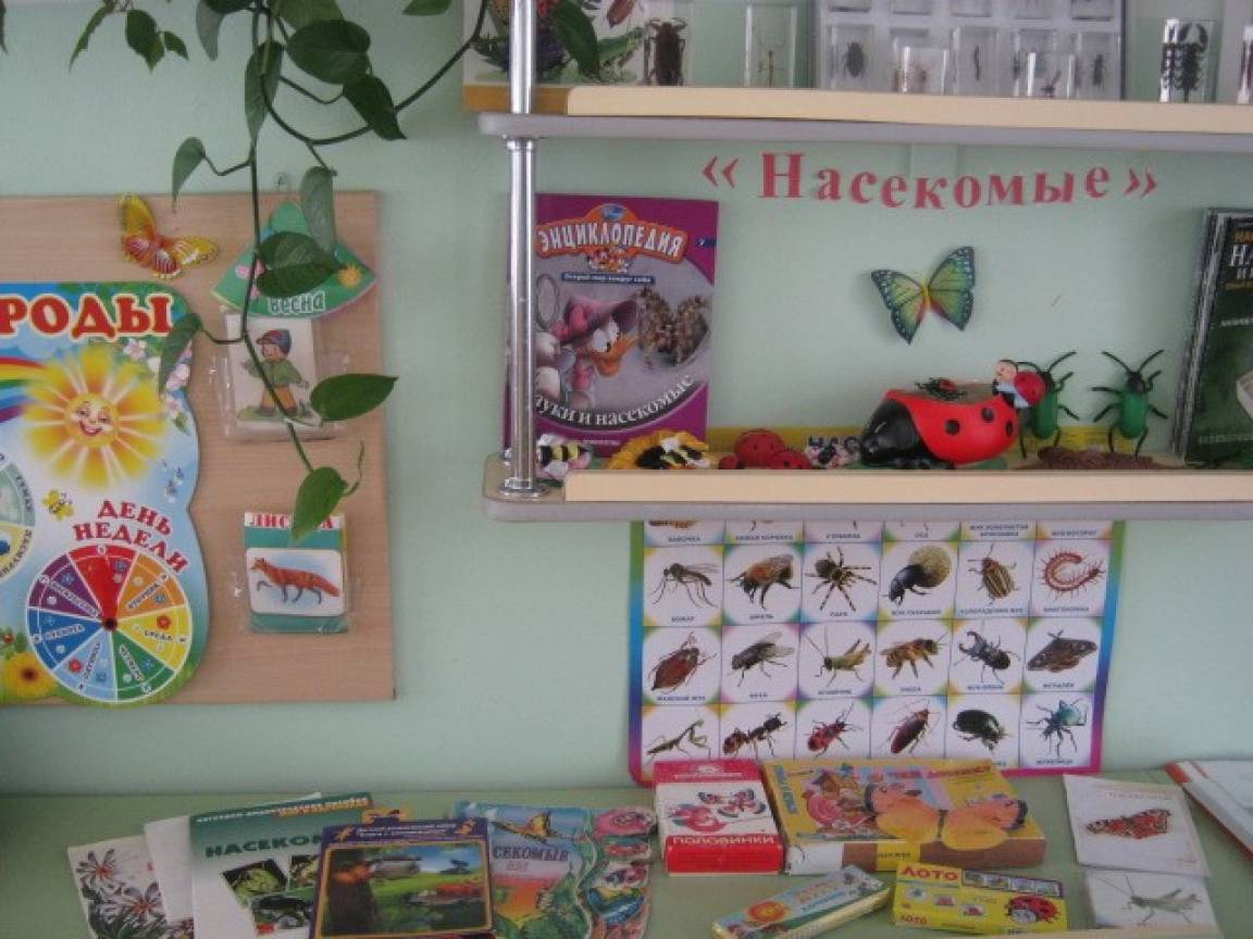 Краткосрочный проект в старшей группе насекомые