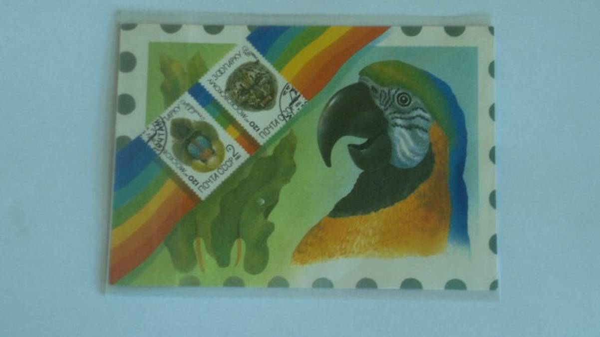 ������� ��������堗 ���������