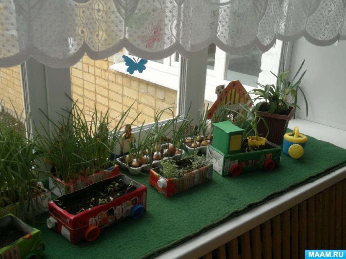 Огород на подоконнике в подготовительной группе оформление. Огород на окне. Огород на подоконнике в детском. Огород на окне в детском саду. Огород на окошке в детском саду.